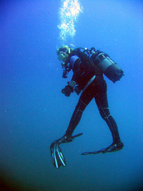 diving_003.jpg
